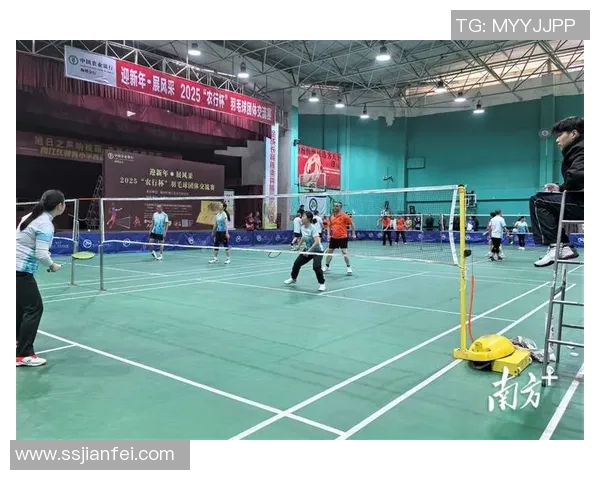 深圳羽毛球队在城市联赛中的实力展现与未来发展潜力分析